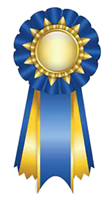 Blue Ribbon Service