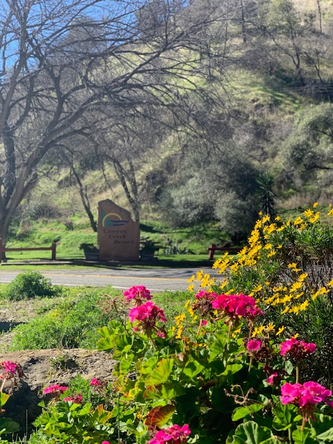 Spring at Vista Resorts